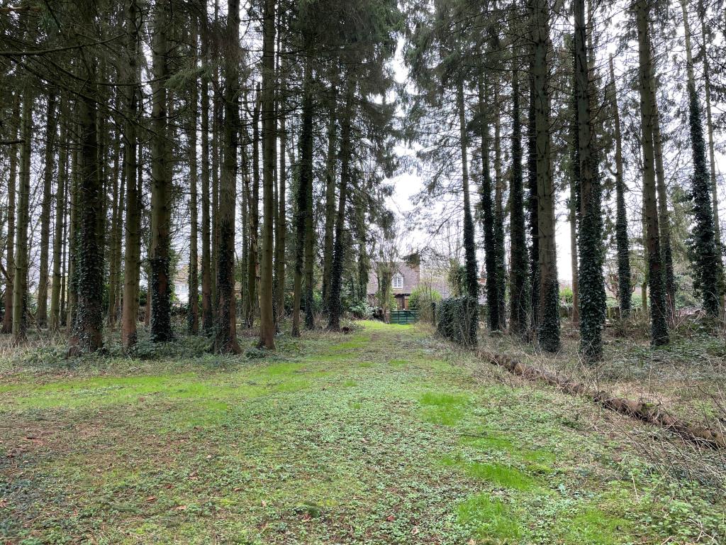 Lot: 125 - APPROXIMATELY 1.4 ACRES OF LAND WITH TWO BUILDINGS - View towards access gate